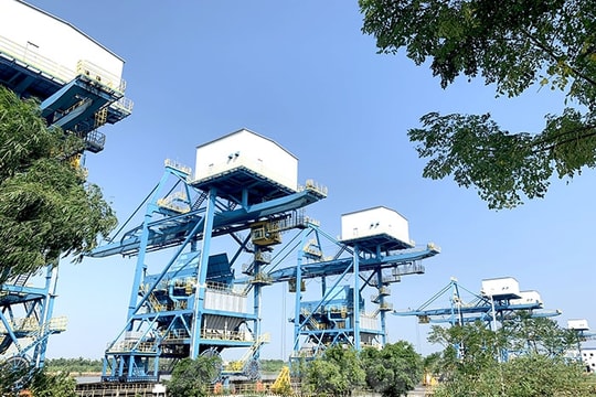Chiếm đất rừng phòng hộ, Công ty Điện lực JAKS Hải Dương bị phạt 210 triệu đồng, buộc nộp hơn 1,86 tỷ đồng
